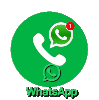 whatsapp call